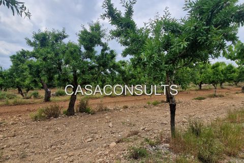 Masia a Les Useras, Castellon, Les Useras - € 140.000 | Ref: 874 - foto 19